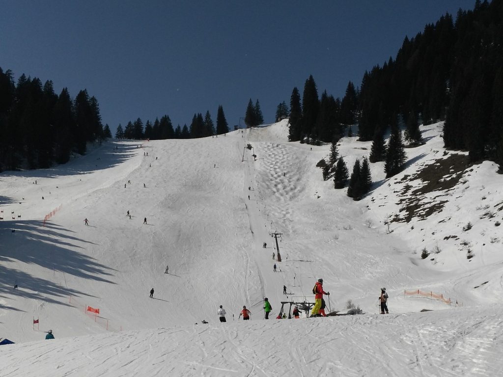 Bayernhang am hinteren Brauneck in Lenggries. Foto: R. Krause