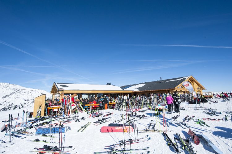 Granatalm am Penkenjoch/Zillertal. Foto: Granatalm